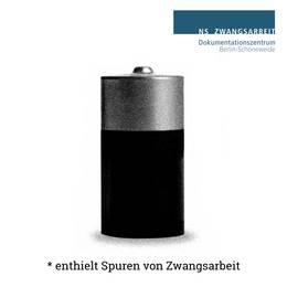 Wissenschaftliches Volontariat im Dokumentationszentrum NS-Zwangsarbeit, Schwerpunkt internationale Bildung