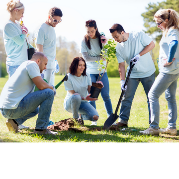 Volunteer Camp 16.08.2020 - 31.08.2020 in Berlin