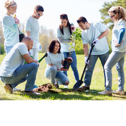 Volunteer Camp 16.08.2020 - 31.08.2020 in Berlin