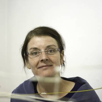 Ev Pommer