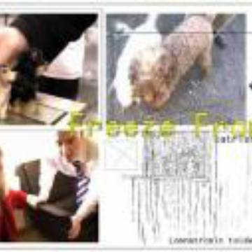 Freeze Frames